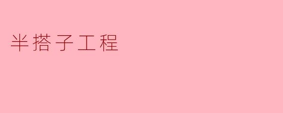 《“半搭子工程”:资源浪费背后的管理困局》