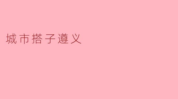 城市搭子遵义