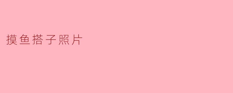 《摸鱼搭子照片:当代打工人的“职场生存艺术”》