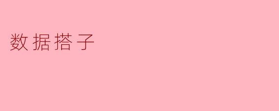 数据搭子