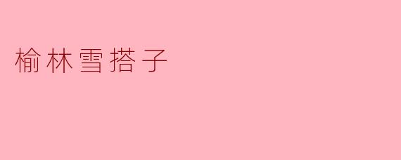 榆林雪搭子