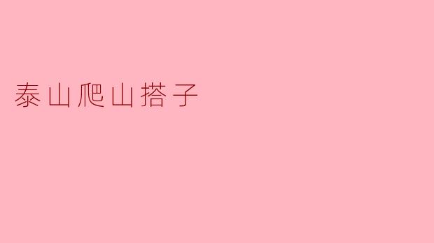 泰山爬山搭子