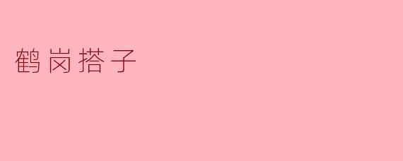 鹤岗搭子