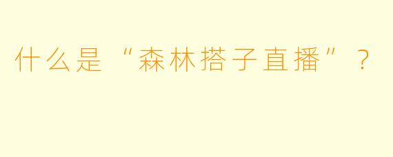 什么是“森林搭子直播”？