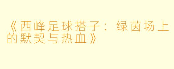 《西峰足球搭子：绿茵场上的默契与热血》