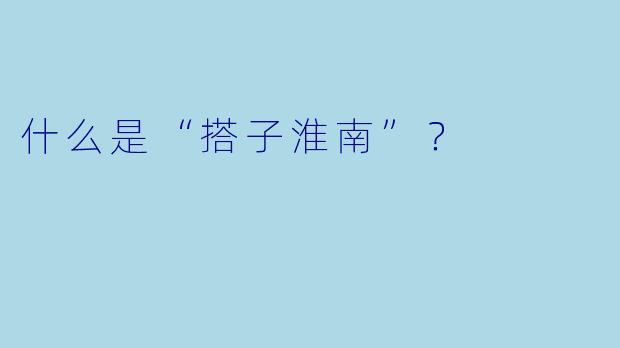 什么是“搭子淮南”？