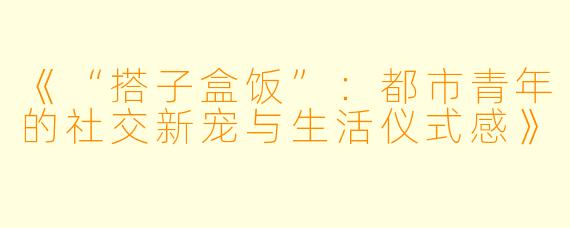 《“搭子盒饭”：都市青年的社交新宠与生活仪式感》