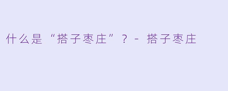 什么是“搭子枣庄”？-搭子枣庄