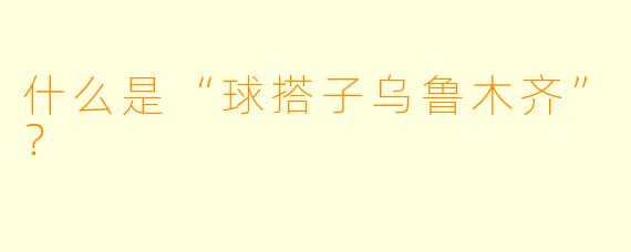 什么是“球搭子乌鲁木齐”？
