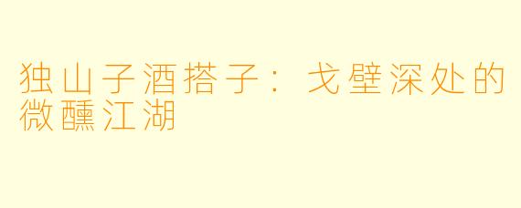 独山子酒搭子：戈壁深处的微醺江湖