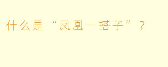 什么是“凤凰一搭子”？