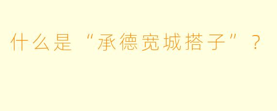 什么是“承德宽城搭子”？