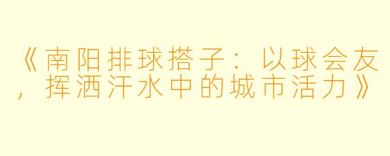 《南阳排球搭子:以球会友,挥洒汗水中的城市活力》