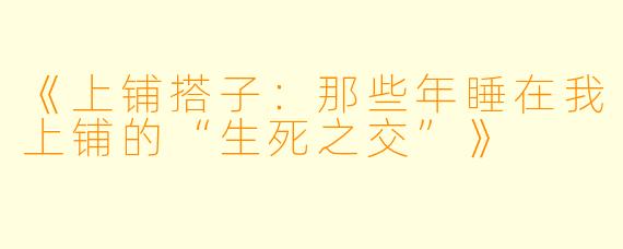 《上铺搭子：那些年睡在我上铺的“生死之交”》