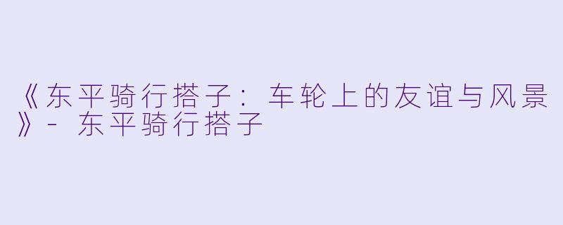 《东平骑行搭子：车轮上的友谊与风景》-东平骑行搭子