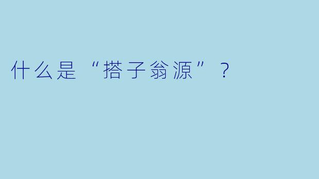 什么是“搭子翁源”?