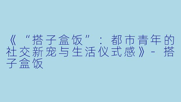《“搭子盒饭”：都市青年的社交新宠与生活仪式感》-搭子盒饭