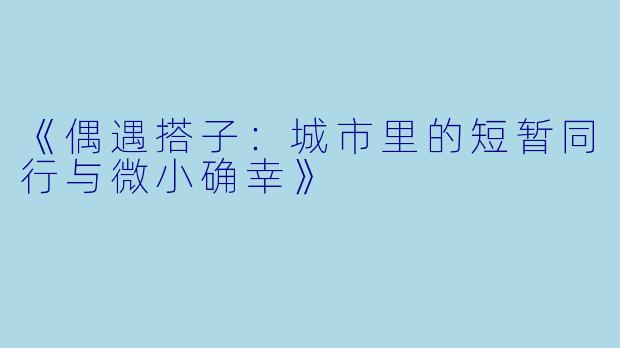 《偶遇搭子：城市里的短暂同行与微小确幸》