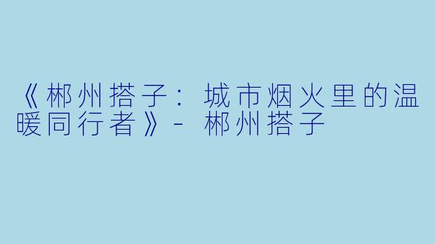 《郴州搭子：城市烟火里的温暖同行者》-郴州搭子