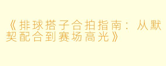 《排球搭子合拍指南:从默契配合到赛场高光》