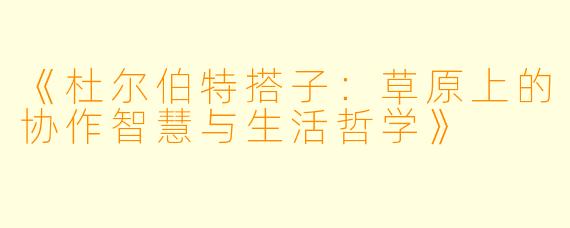 《杜尔伯特搭子：草原上的协作智慧与生活哲学》