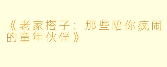 《老家搭子：那些陪你疯闹的童年伙伴》