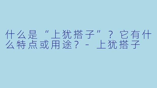 什么是“上犹搭子”？它有什么特点或用途？-上犹搭子