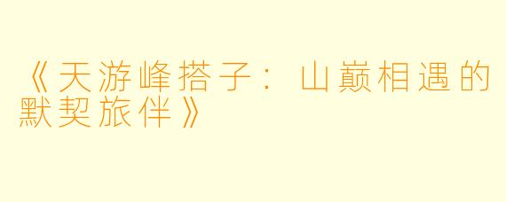 《天游峰搭子：山巅相遇的默契旅伴》