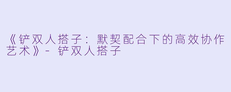 《铲双人搭子：默契配合下的高效协作艺术》-铲双人搭子