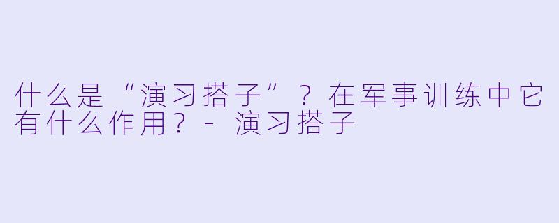 什么是“演习搭子”？在军事训练中它有什么作用？-演习搭子