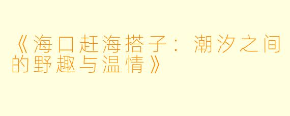 《海口赶海搭子：潮汐之间的野趣与温情》
