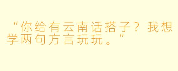 “你给有云南话搭子？我想学两句方言玩玩。”