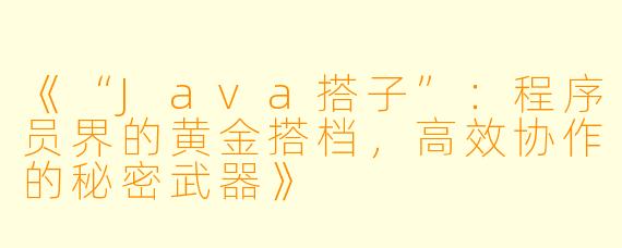 《“Java搭子”：程序员界的黄金搭档，高效协作的秘密武器》