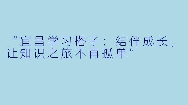 “宜昌学习搭子:结伴成长,让知识之旅不再孤单”
