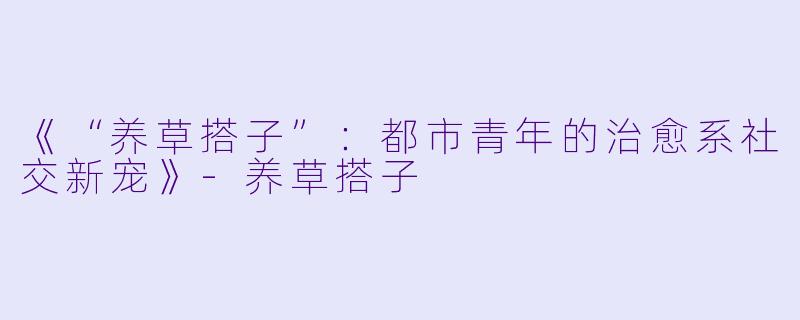 《“养草搭子”：都市青年的治愈系社交新宠》-养草搭子