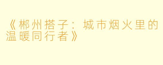 《郴州搭子：城市烟火里的温暖同行者》