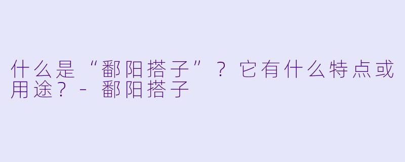 什么是“鄱阳搭子”？它有什么特点或用途？