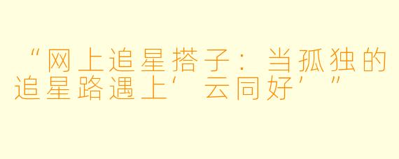 “网上追星搭子：当孤独的追星路遇上‘云同好’”