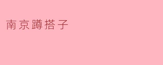 《南京蹲搭子：都市年轻人的新型社交松弛学》