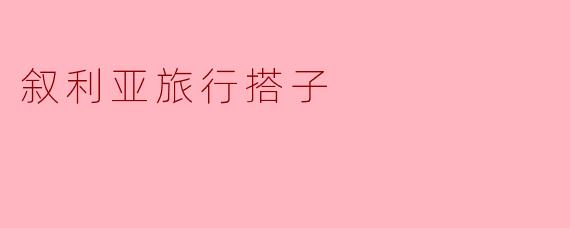 去叙利亚旅行需要注意哪些安全问题?如何找到可靠的当地向导或旅行搭子?