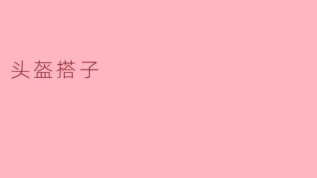 头盔搭子