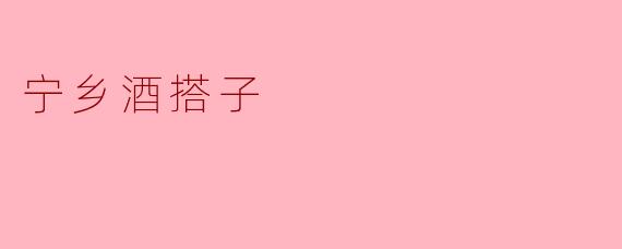 宁乡酒搭子