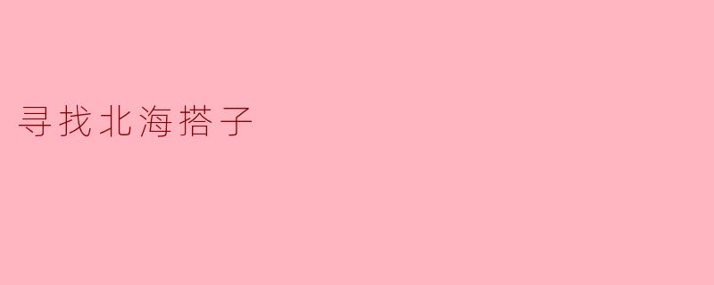 寻找北海搭子