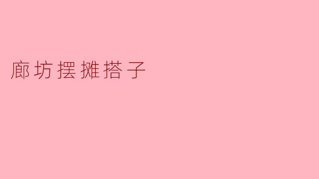 廊坊摆摊搭子