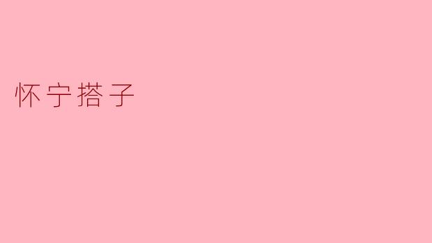 怀宁搭子