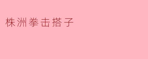 株洲拳击搭子