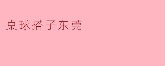 桌球搭子东莞