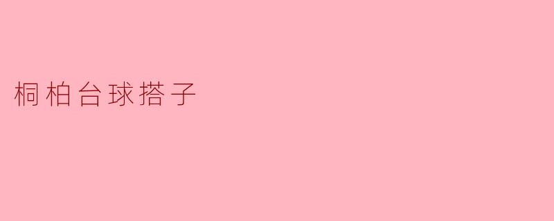 《桐柏台球搭子:以球会友,碰撞小城的热情与默契》