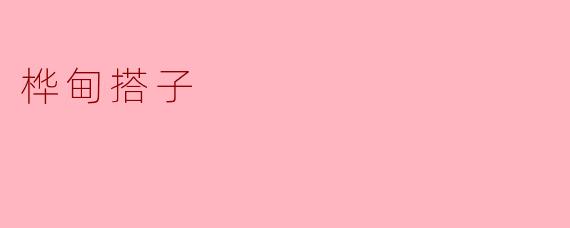 桦甸搭子
