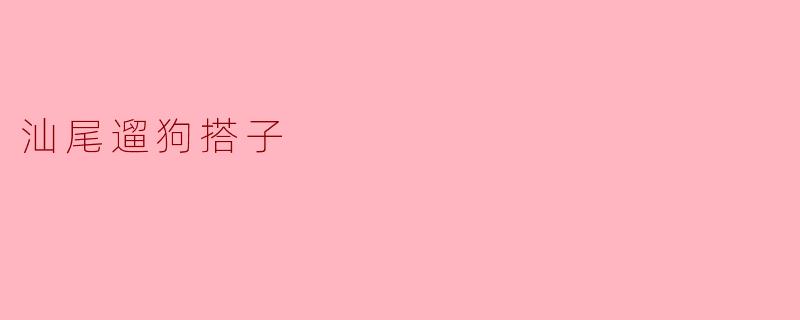 汕尾遛狗搭子